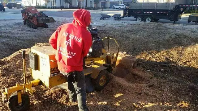 Atkins Tree Care