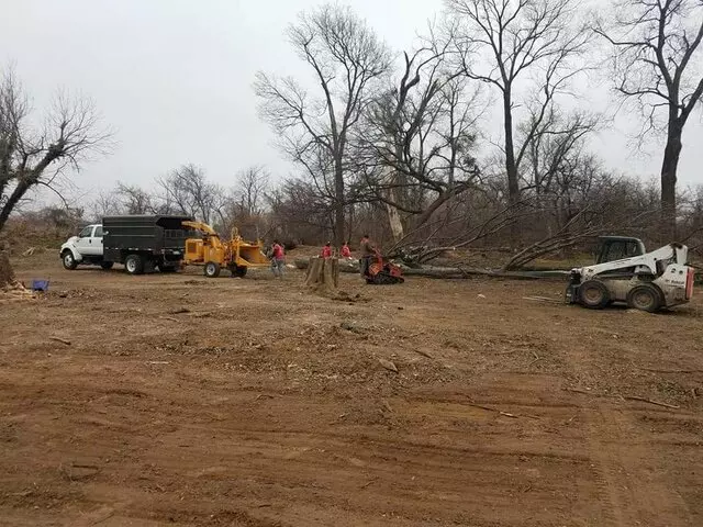 Atkins Tree Care