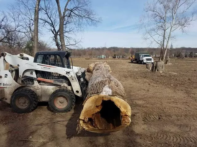 Atkins Tree Care
