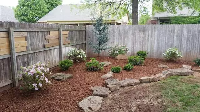 Atkins Tree Care