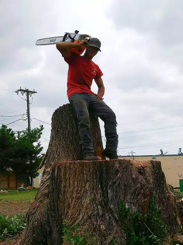 Atkins Tree Care