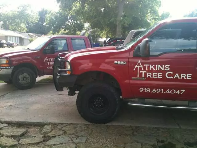 Atkins Tree Care