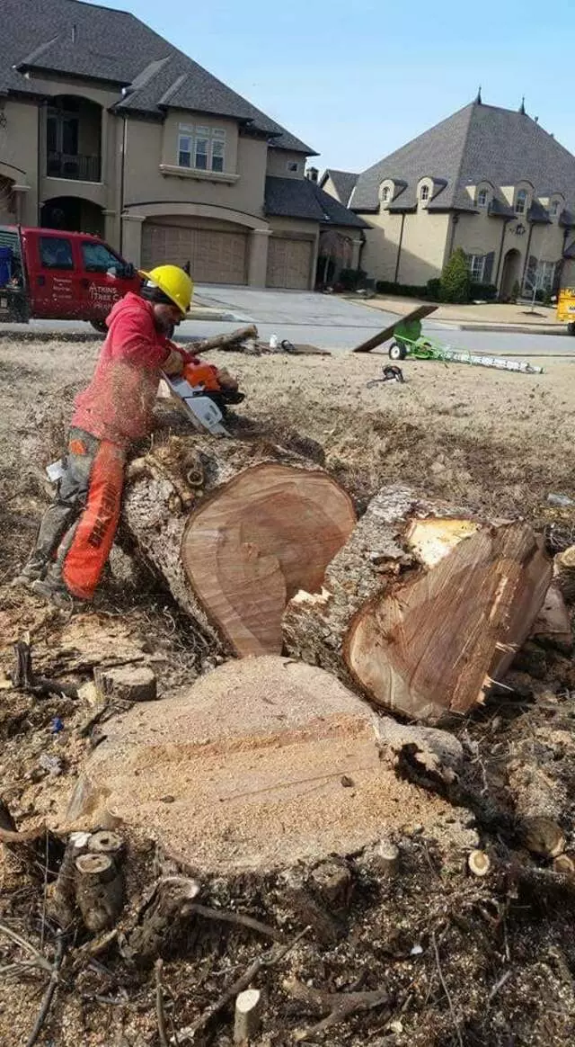 Atkins Tree Care