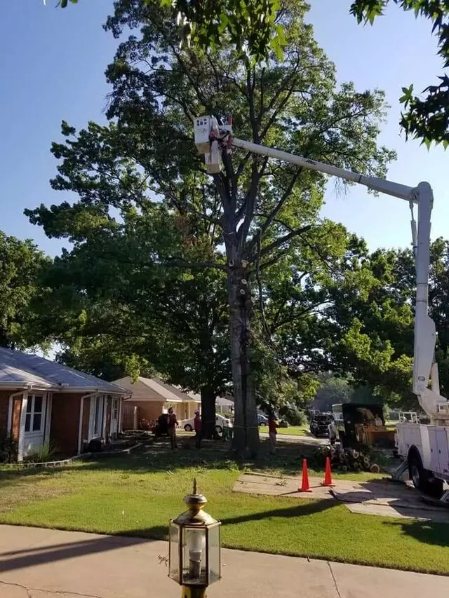Atkins Tree Care