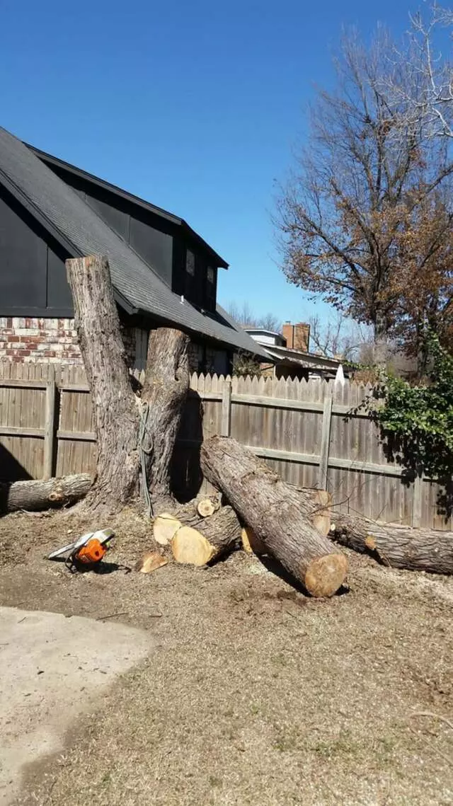 Atkins Tree Care