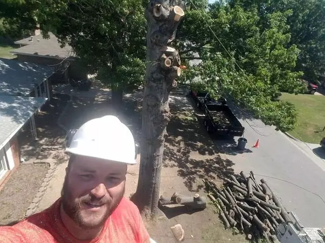 Atkins Tree Care