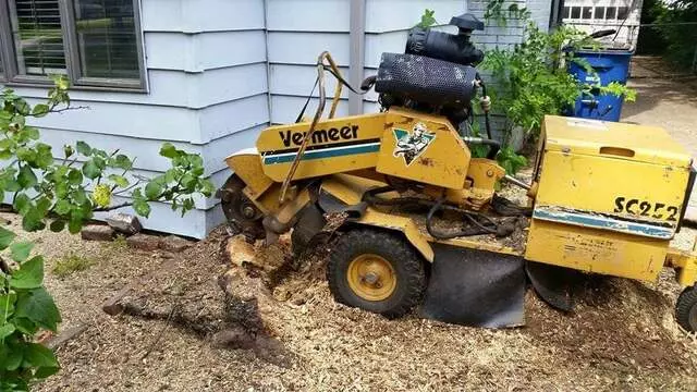 Atkins Tree Care