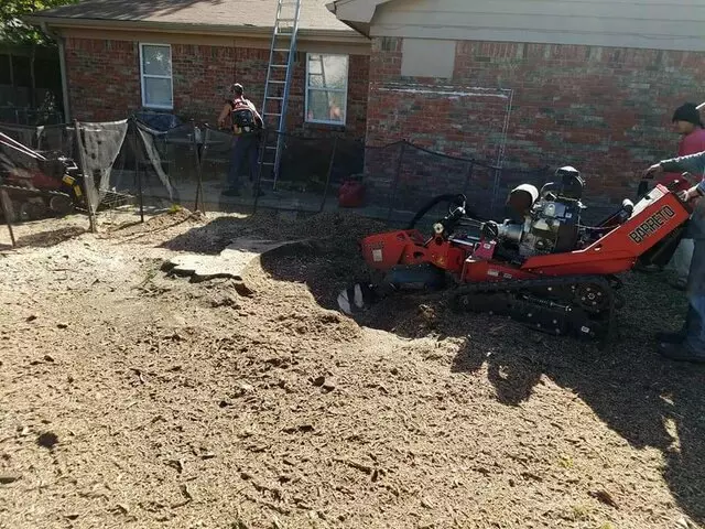 Atkins Tree Care
