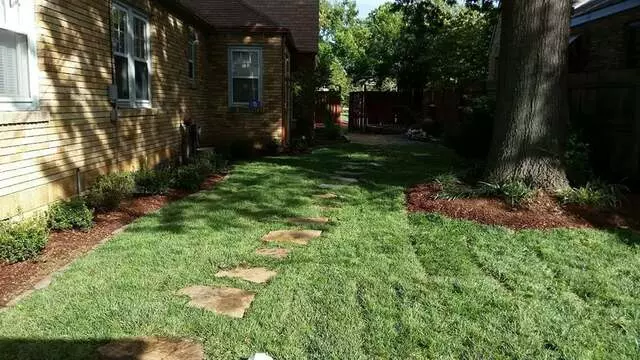 Atkins Tree Care
