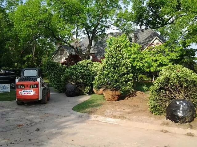 Atkins Tree Care
