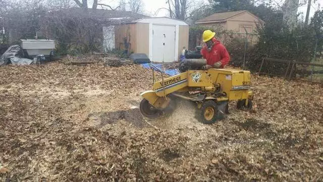 Atkins Tree Care