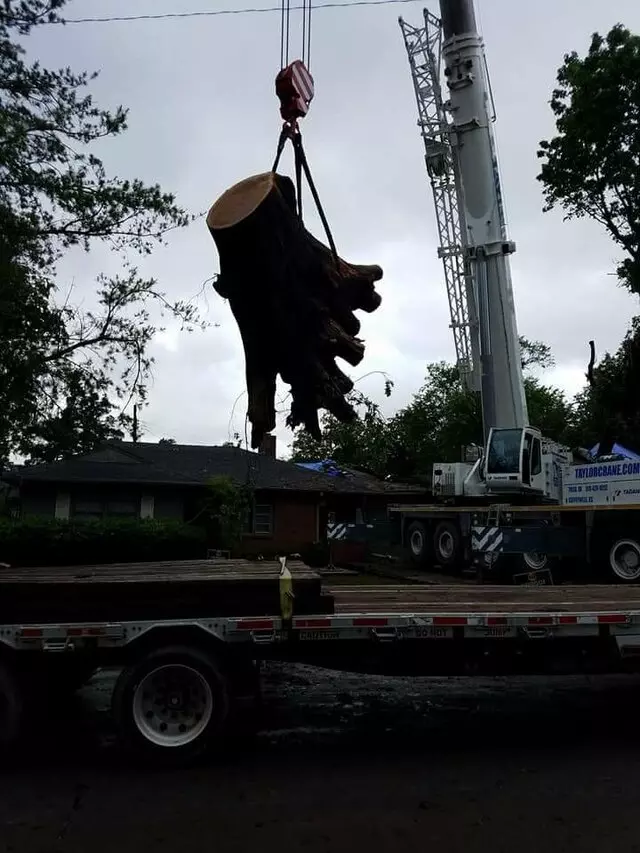 Atkins Tree Care