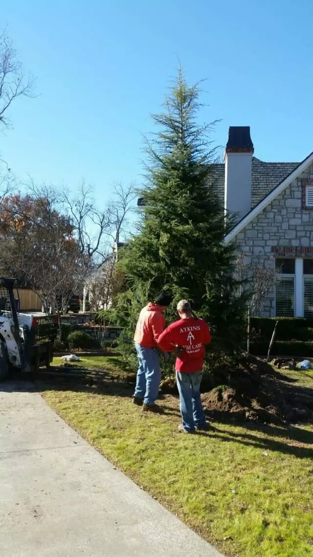 Atkins Tree Care