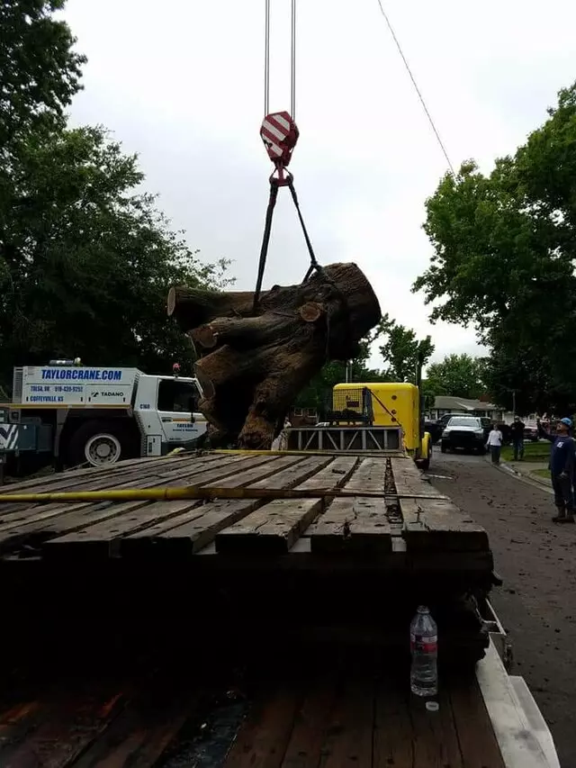 Atkins Tree Care