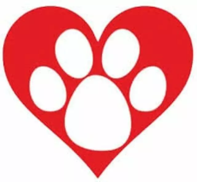 Animal Aid Thrift Store