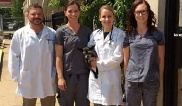 Alta-Vista Animal Hospital