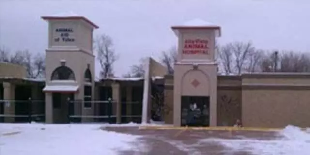 Alta-Vista Animal Hospital