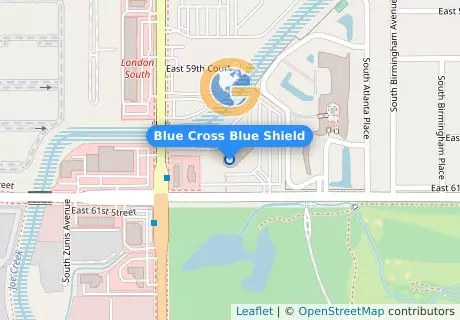 Blue Cross Blue Shield
