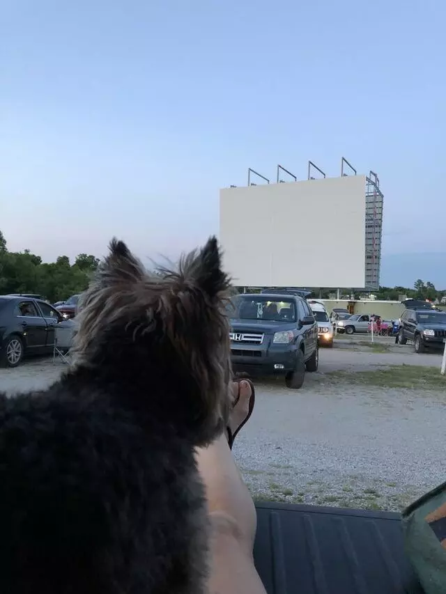 Admiral Twin Drive In