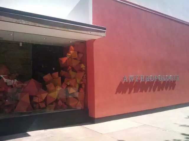 Anthropologie