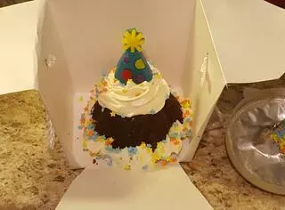 Amber And Sierra’s Faerie Dessert Factory